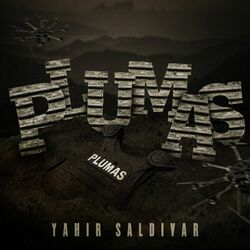 Cover of Plumas