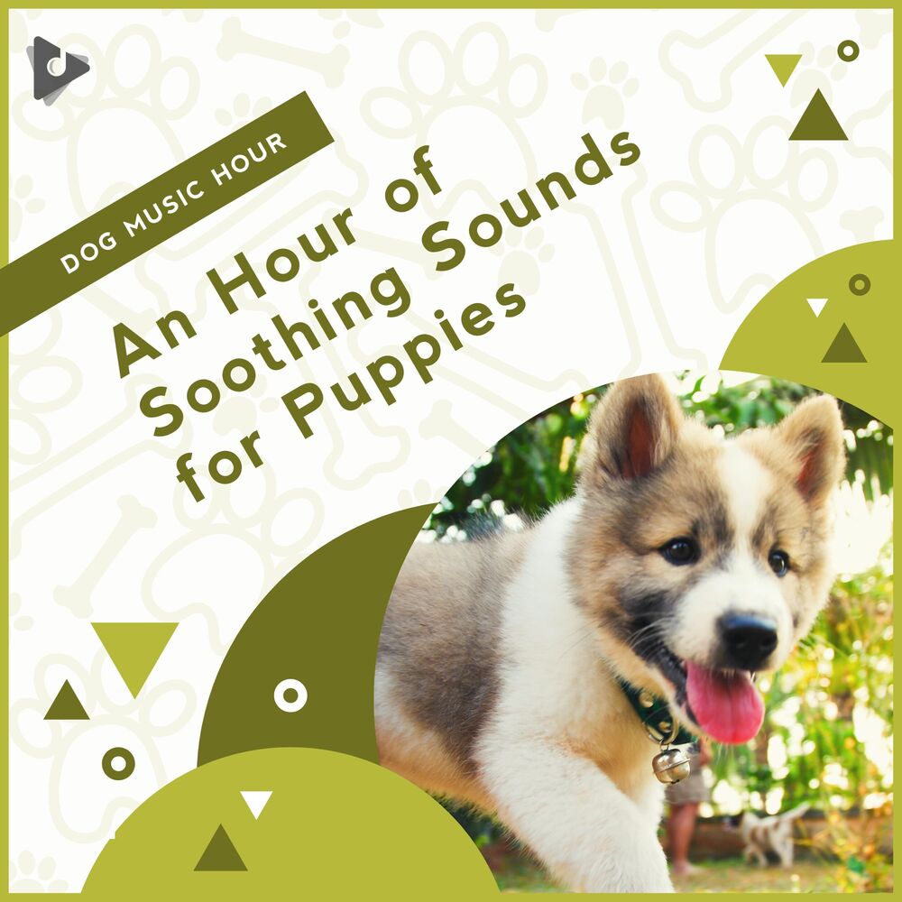 Picture of An Hour of Soothing Sounds for Puppies