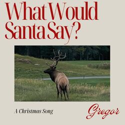 Cover of What Would Santa Say?