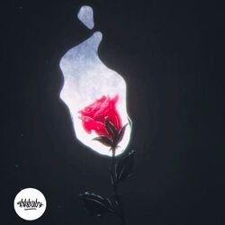 Cover of Sin ti