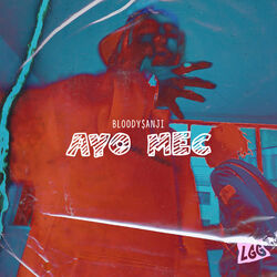 Cover of AYO MEC