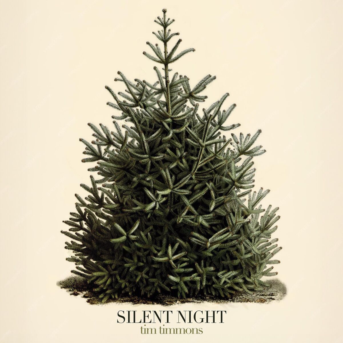 Album cover of Silent Night