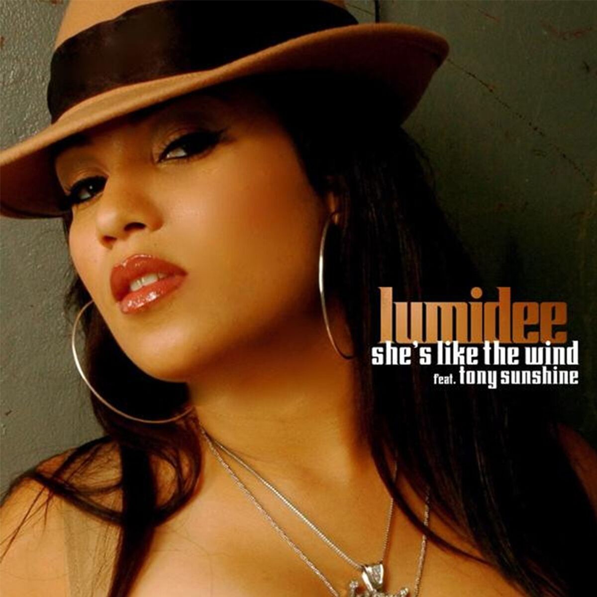 Album cover of She's Like the Wind