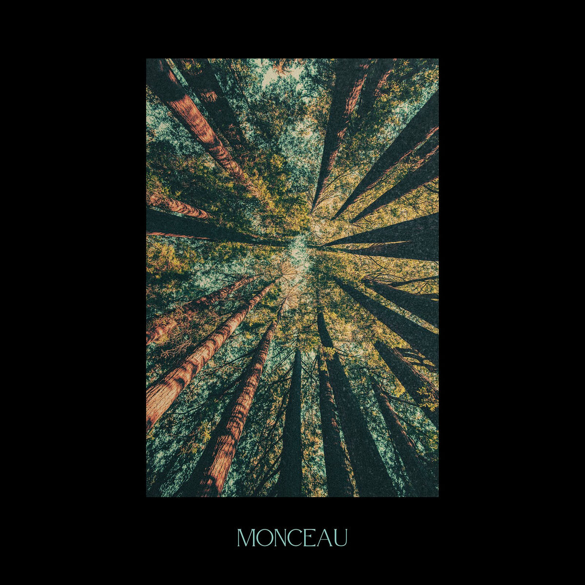 Album cover of Monceau