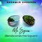 Me Siguen (Bendiciones me Siguen) by Sherwin Gardner album cover