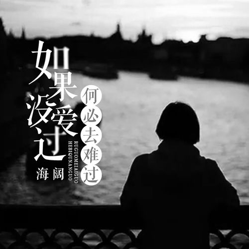 如果没爱过何必去难过 (DJ默涵版)