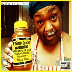 Cover of A Bizarre Cypher