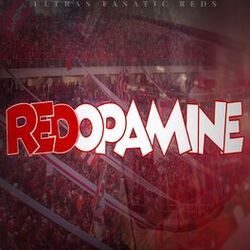 music cover