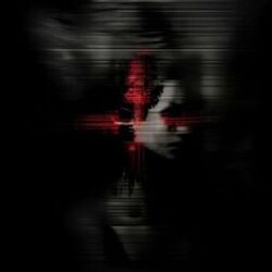 Cover of salto de terror