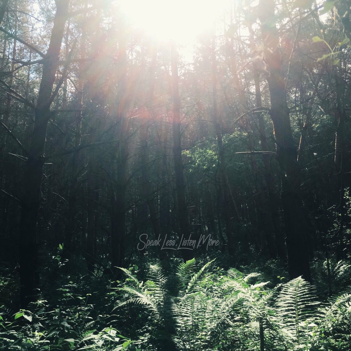 Album cover of Bloom
