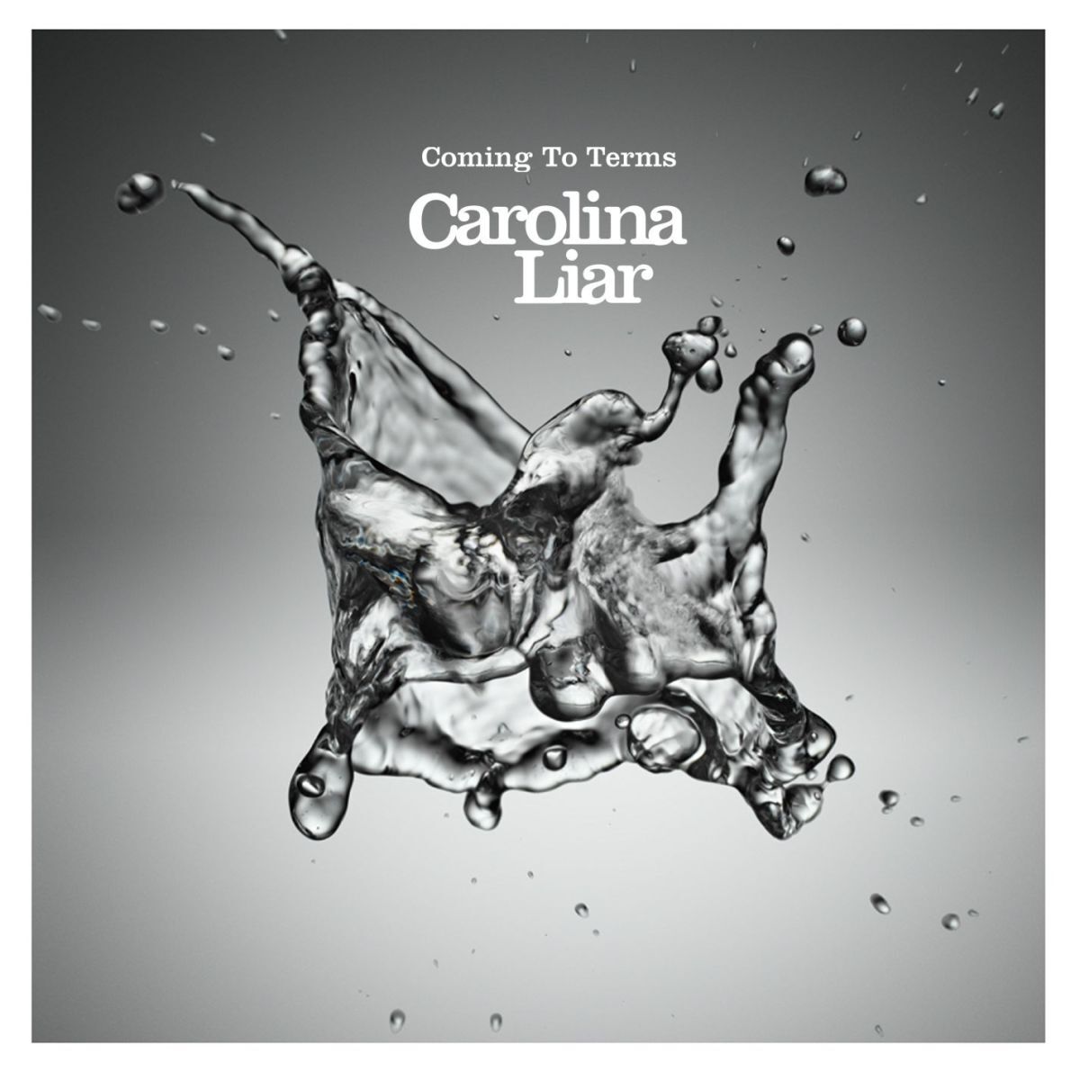Album cover of Coming To Terms