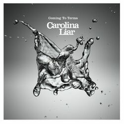Cover of Coming To Terms