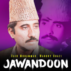 Cover of Jawandoon by undefined