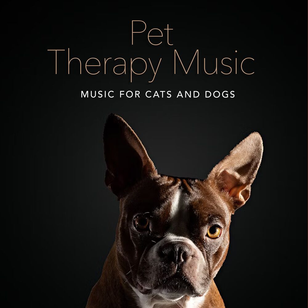 Picture of Pet Therapy Music