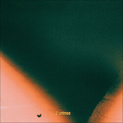 Cover of Crimes