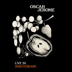 Cover of Live In Amsterdam