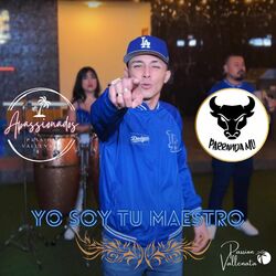 Cover of YO SOY TU MAESTRO Passion Vallenata (Parranda Mu)