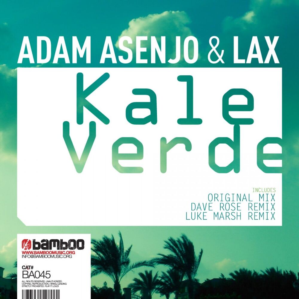 Picture of Kale Verde