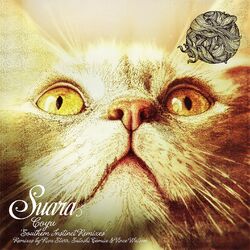 Cover of Southern Instinct (Remixes)