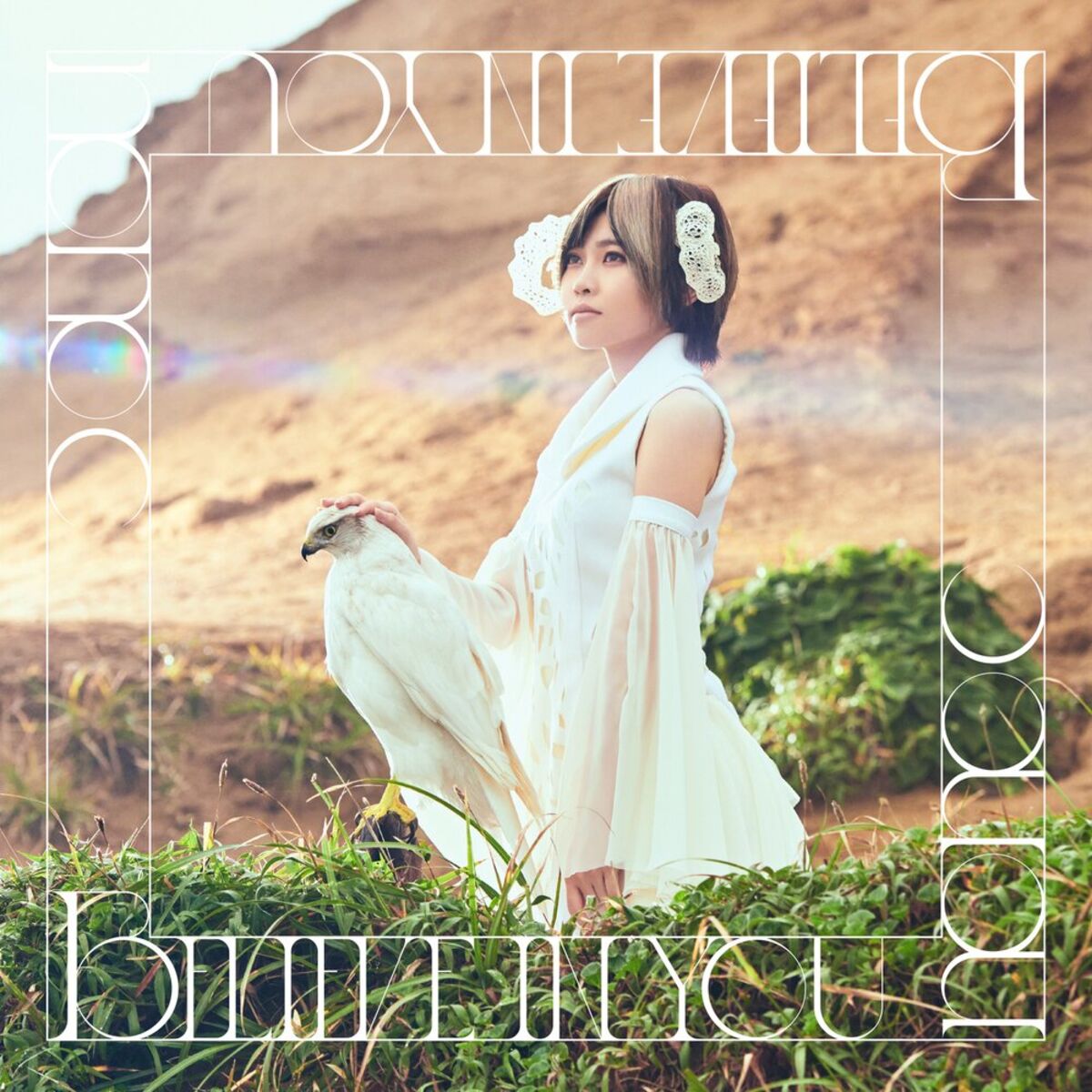 Album cover of Believe in you