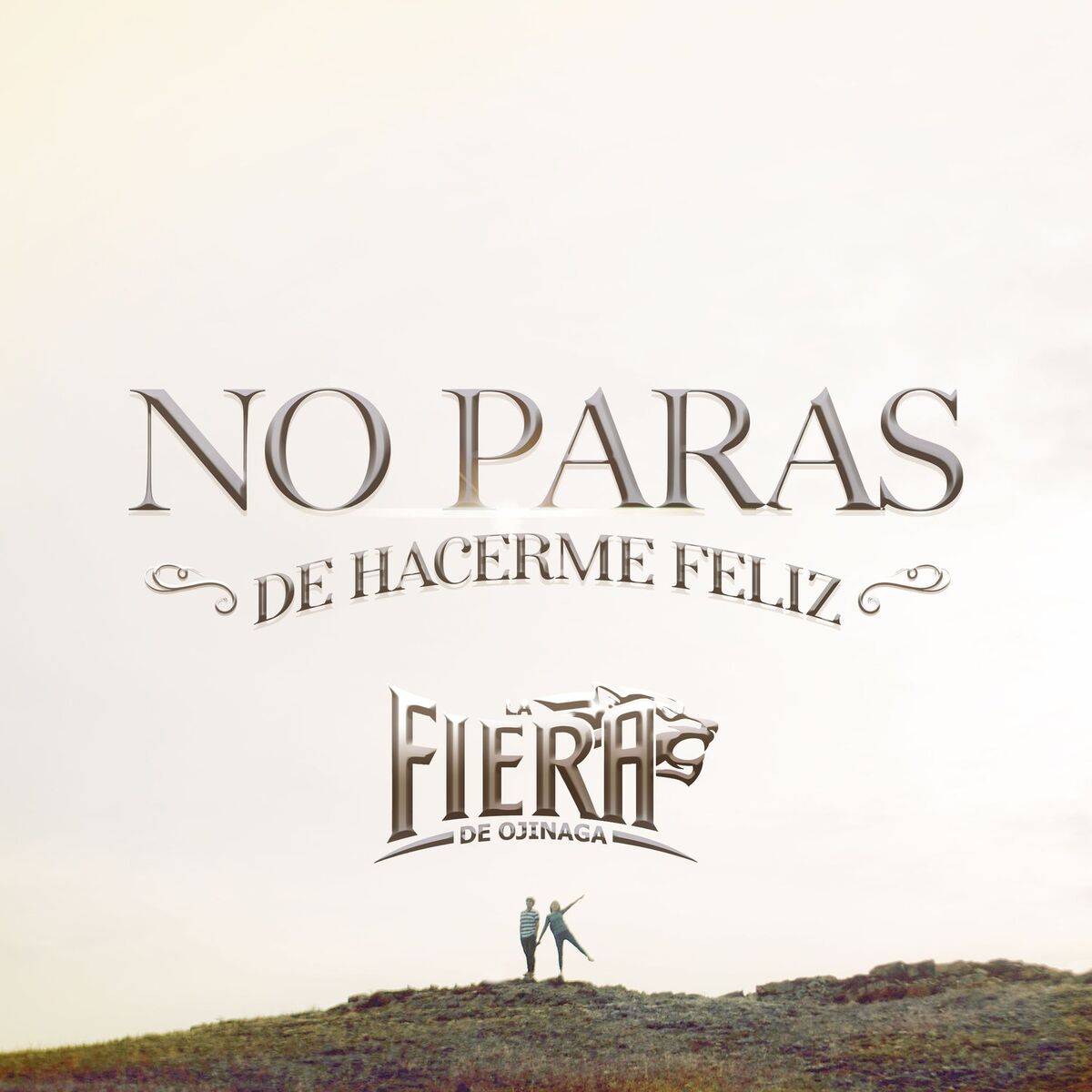 Album cover of No Paras de Hacerme Feliz
