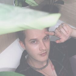 Cover of Dream Of You