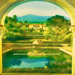 Cover of Swim