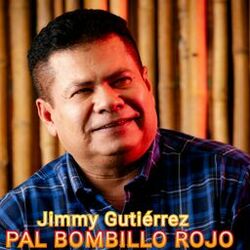 Cover of Pal Bombillo Rojo