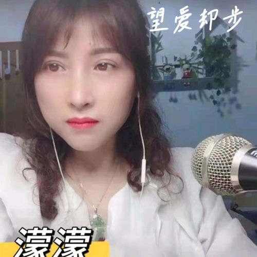 望爱却步 (DJ版)