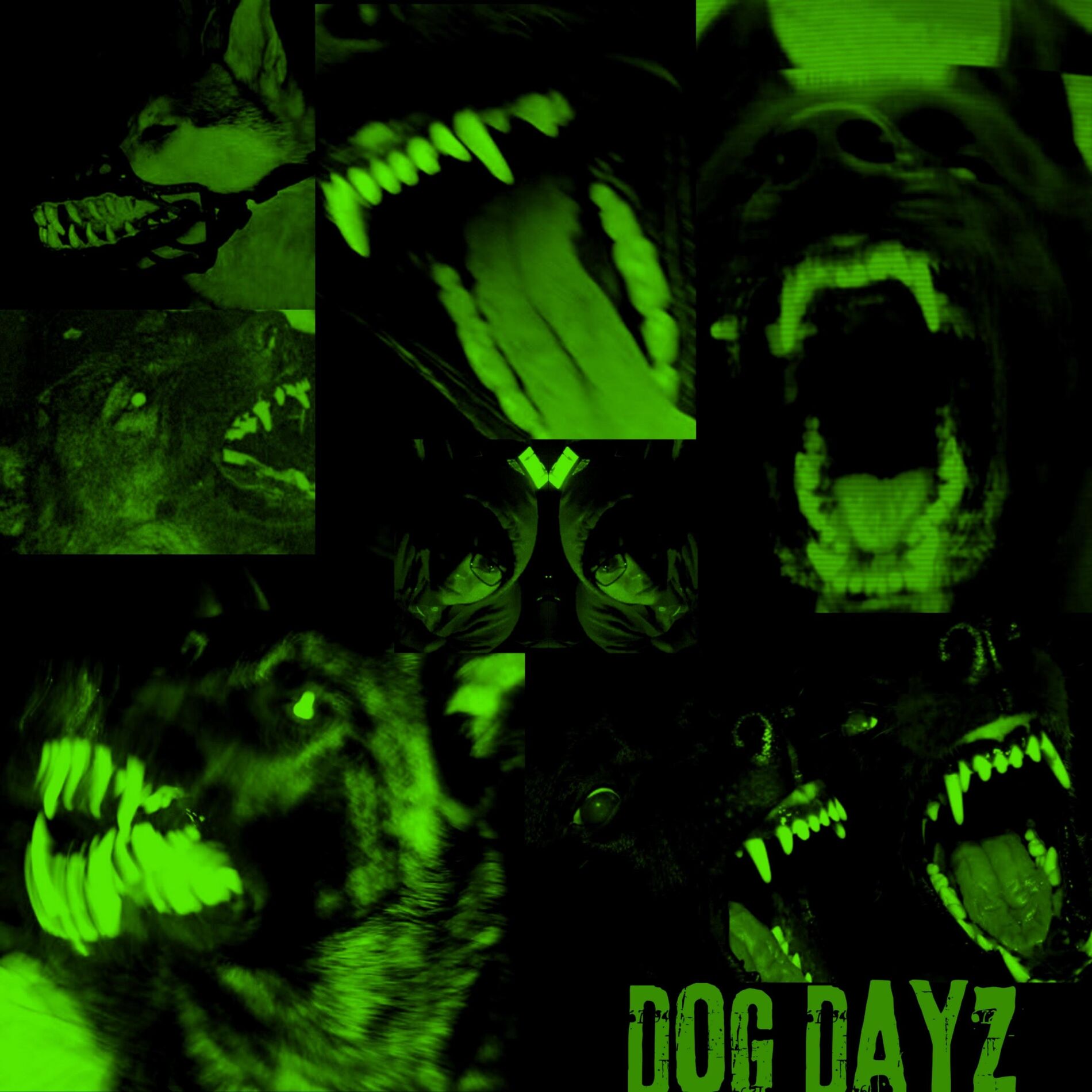 Album cover of DOG DAYZ