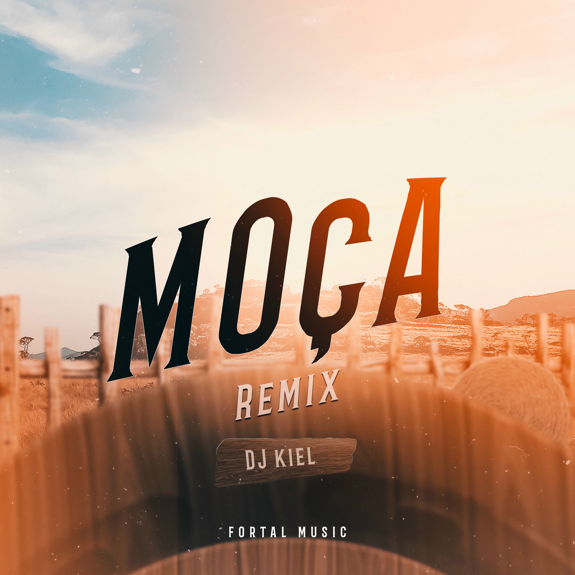 Album cover of Moça (Remix)