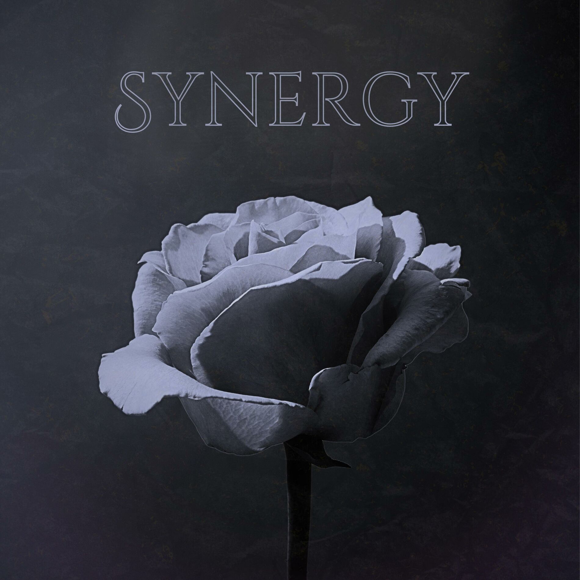 Album cover of Synergy