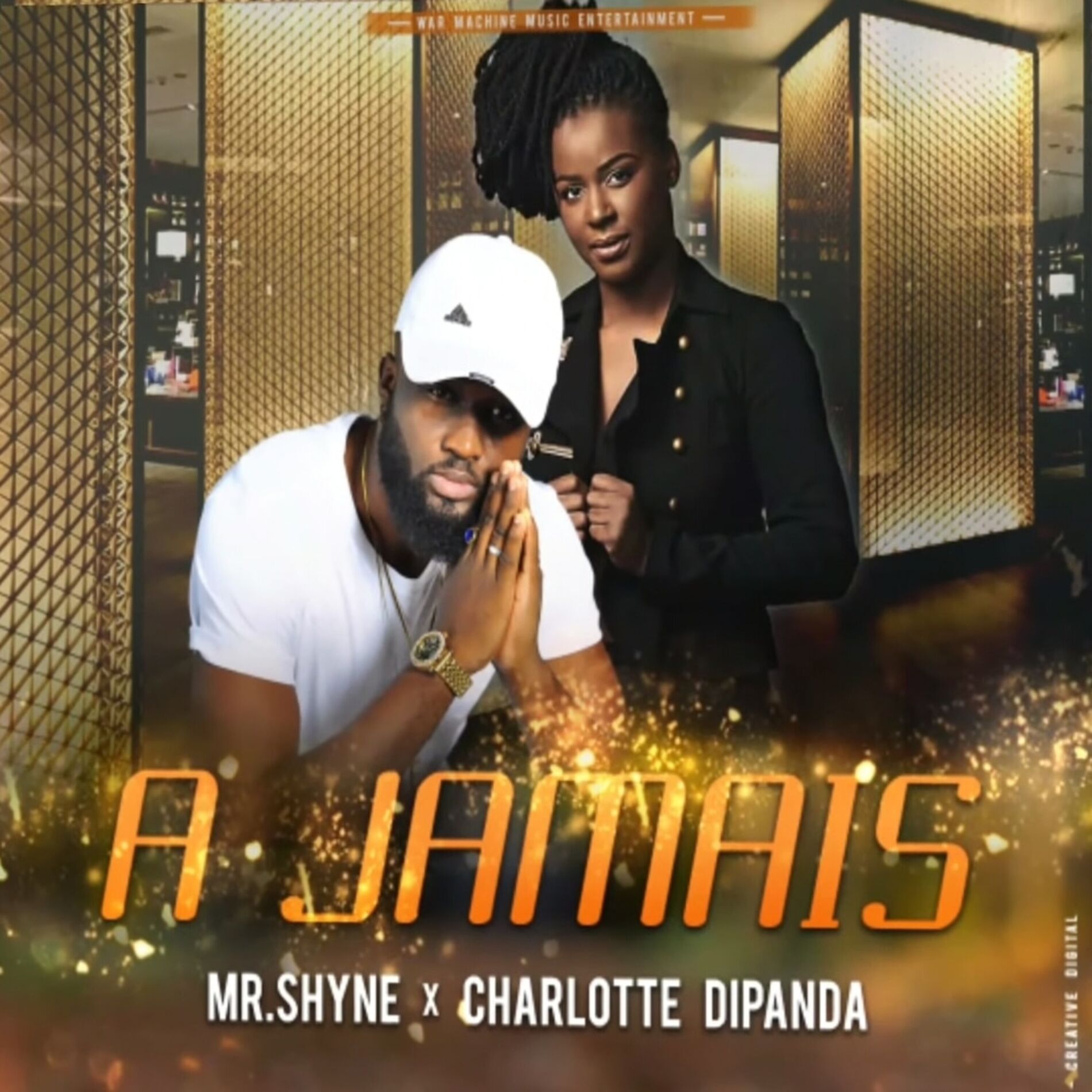 Album cover of A jamais