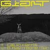 CALVIN HARRIS FEAT. RAG N BONE MAN - GIANT