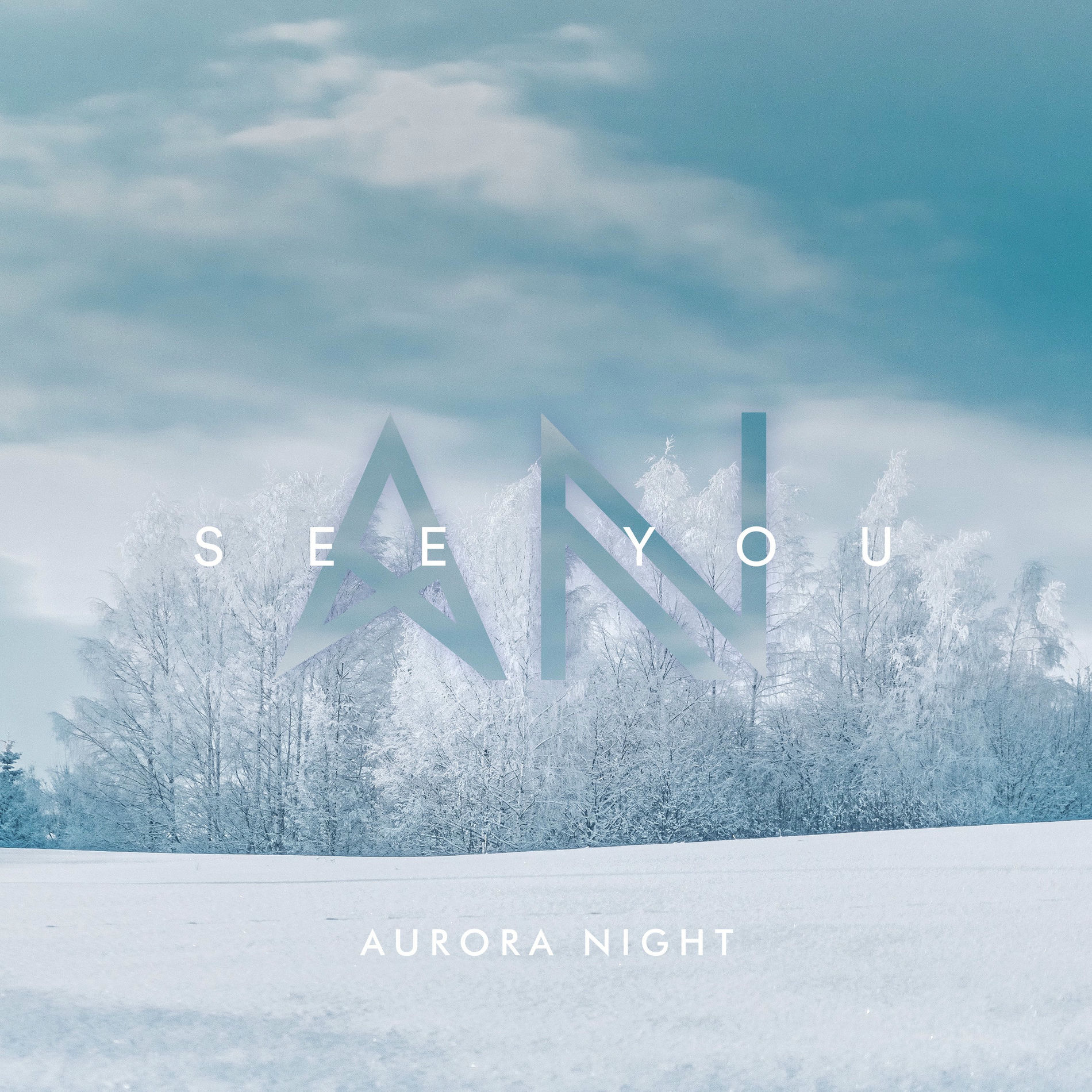 Album cover of See You