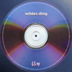 Cover of wildes ding (tekkno)