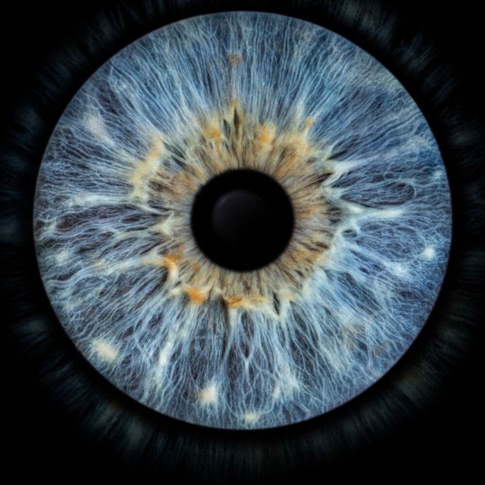 Picture of Ufo (Live)