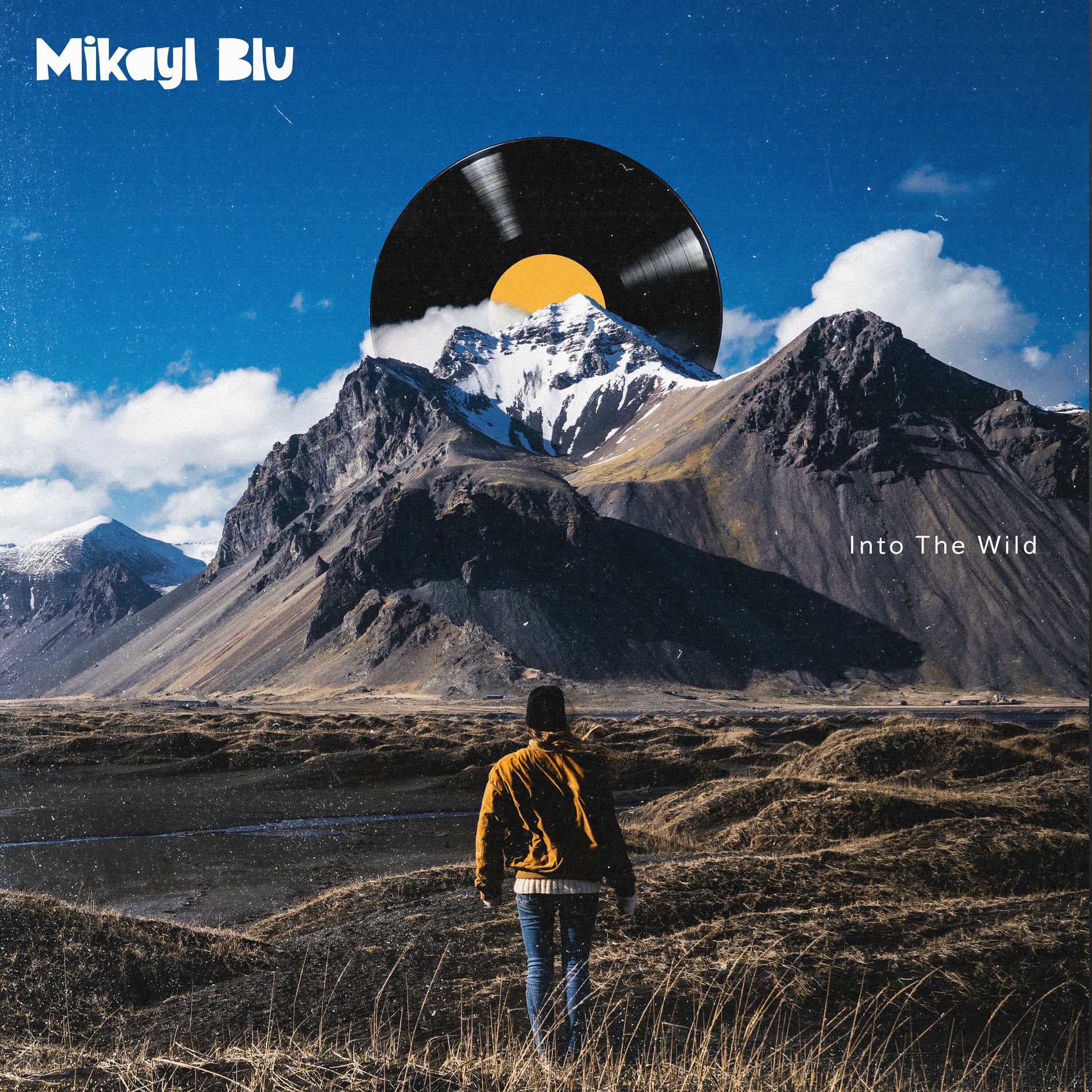 Album cover of Into The Wild