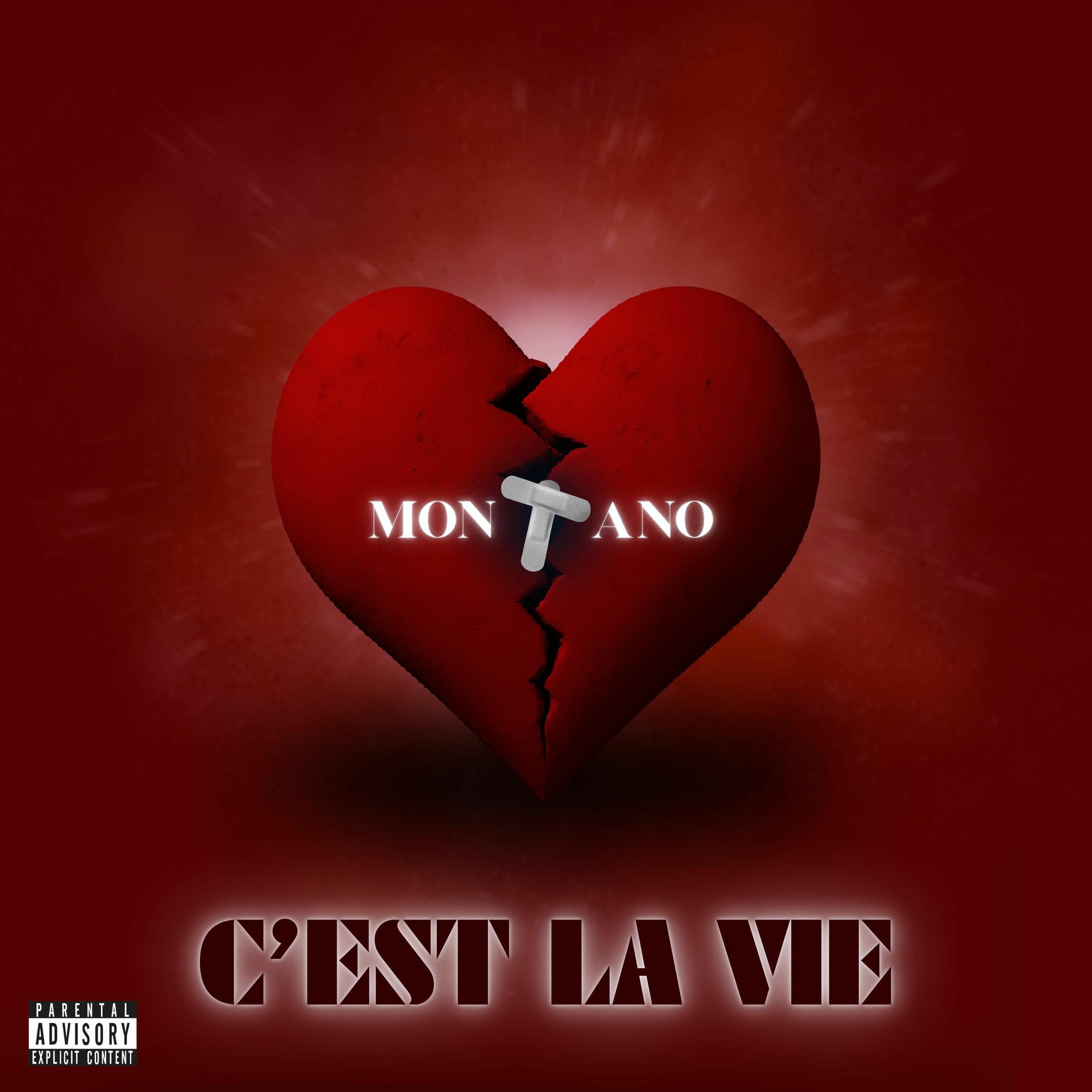 Album cover of C'est La Vie