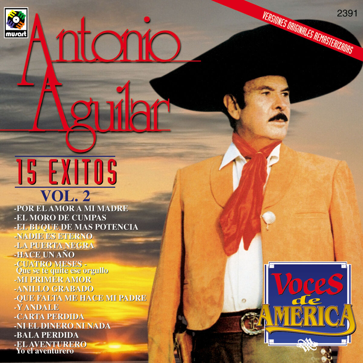 Album picture of Voces de América: 15 Éxitos, Vol. 2