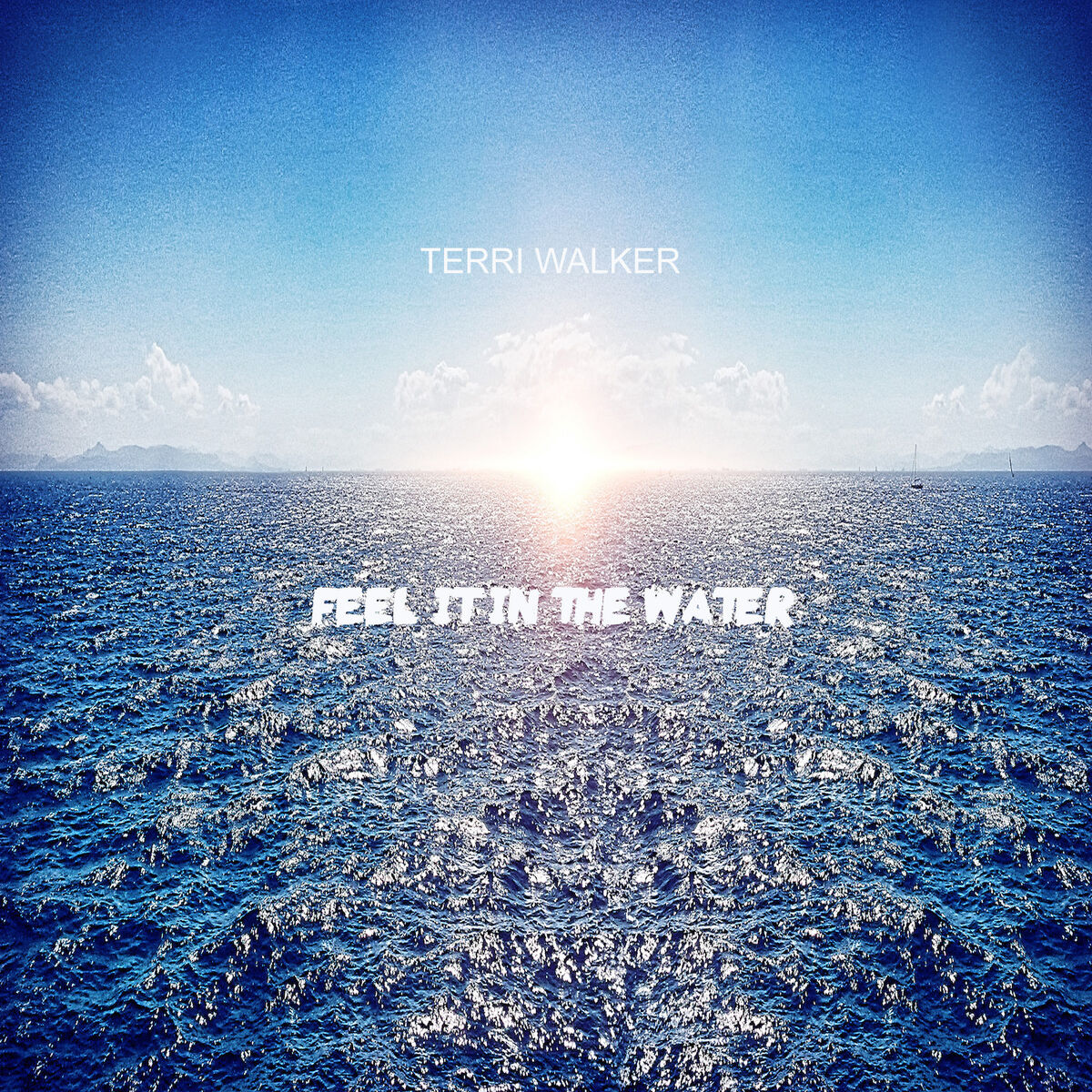 Album cover of Feel It In The Water