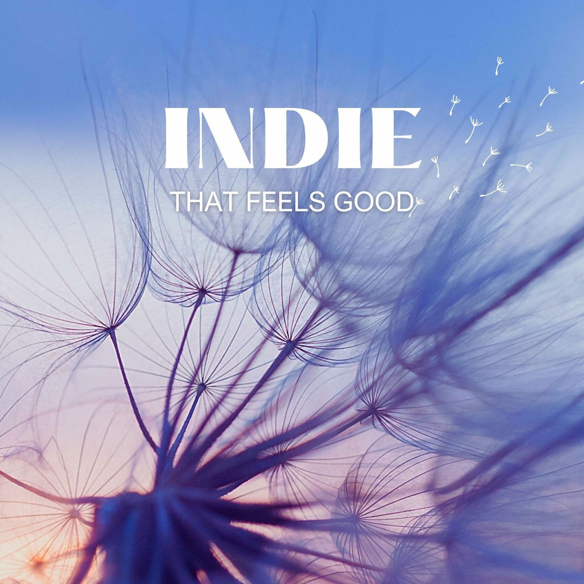 Album cover of Psycho Killer (Acoustic Version)