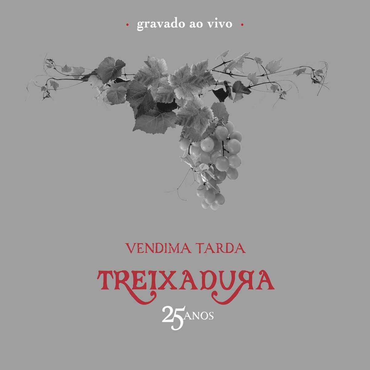 Album cover of Vendima Tarda (25 anos - ao vivo)