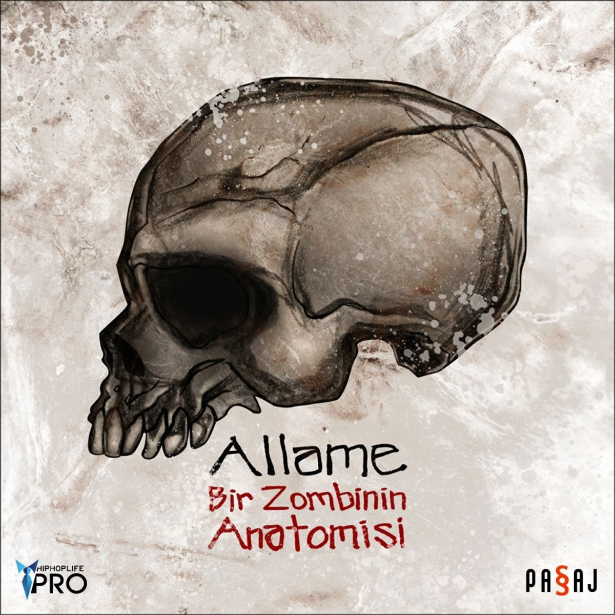 Album cover of Anahtar
