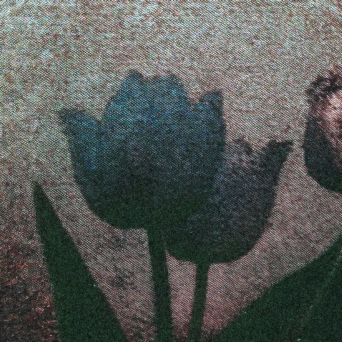 Album cover of the moment we met