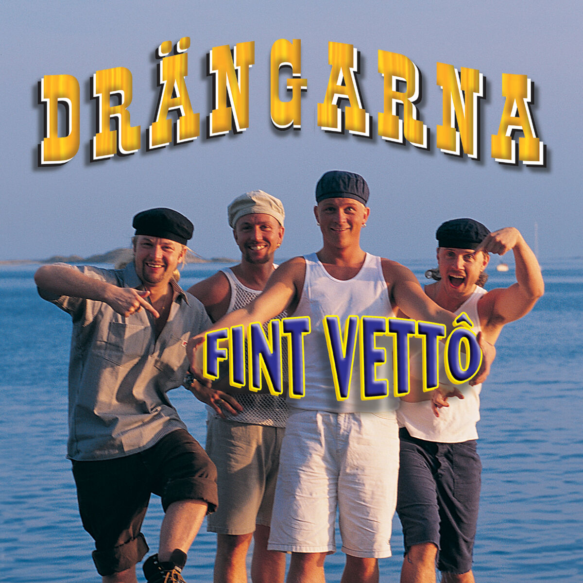 Album cover of Fint Vettô