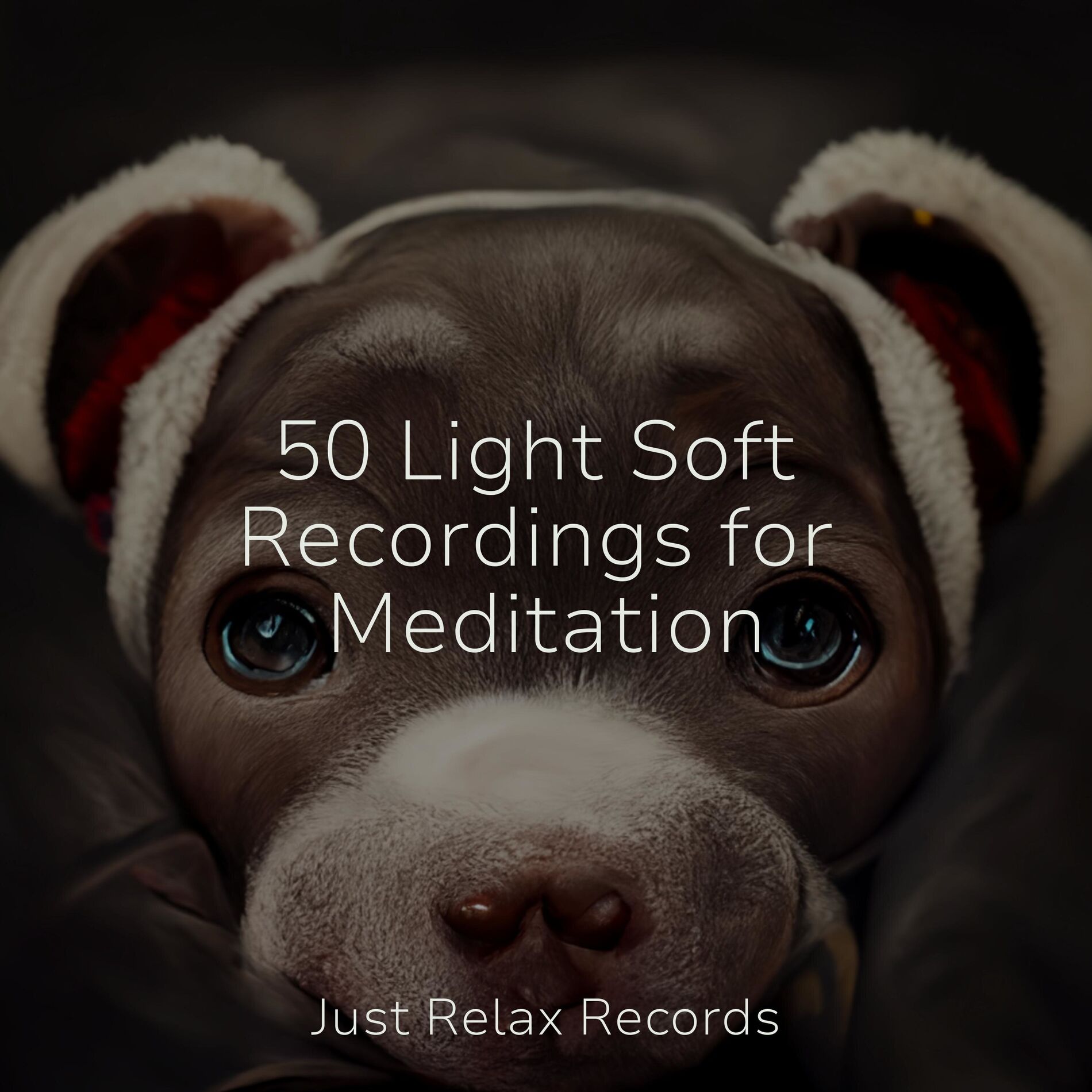 Album cover of 50 Light Soft Recordings for Meditation