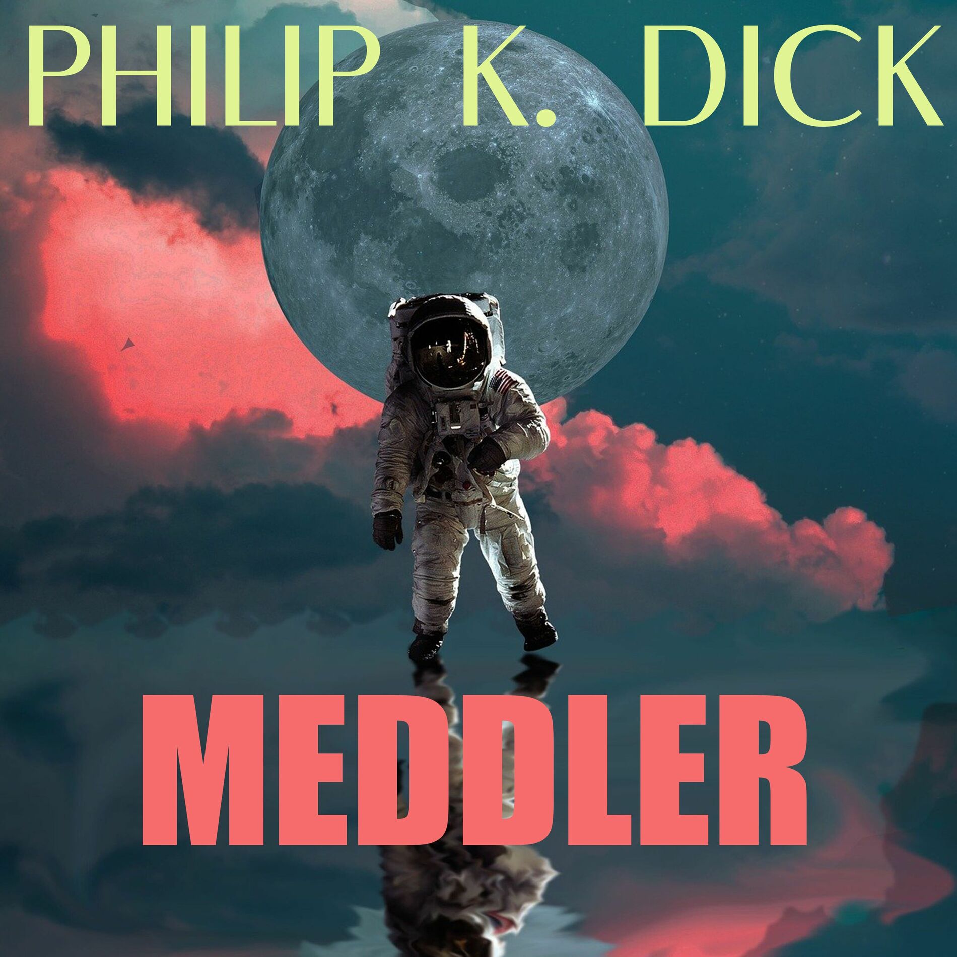 Album cover of Meddler