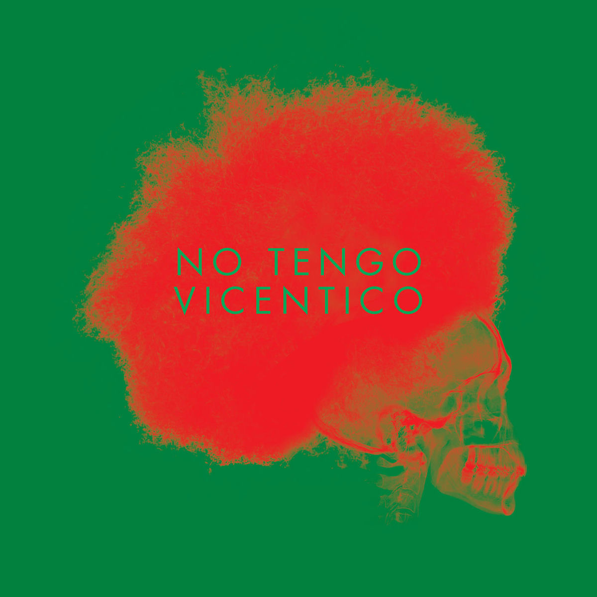 Album cover of No Tengo