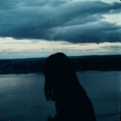 Cover of midnight blue